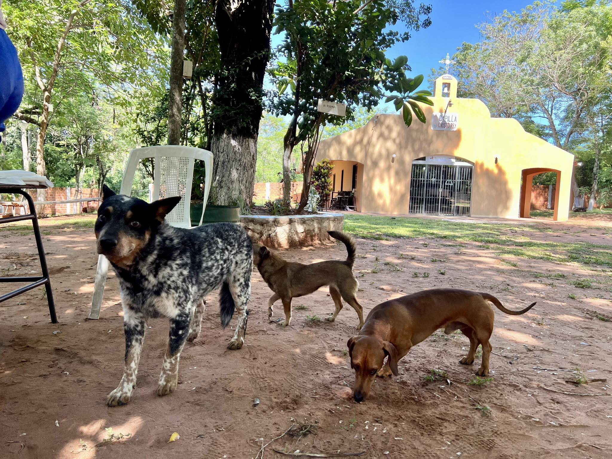 585754210_1302340321933888_8602532690891444998_n